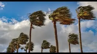 Blowing Wind in Dream Meanings | Khwab Mein Aandhi Ya Tofan Dekhna | خواب  آندھی یا طوفان دیکھنا