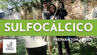 Como hacer sulfocálcico fácil y con pocos recursos