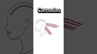 Como cortar em camadas cabelos cacheados #cursoonline #cabeleireiros -#cabeleleiro #shorts #reels