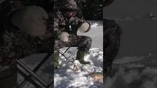 Вот это ряха😯 