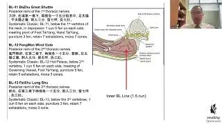 Neuro Meridian Integrative Acupuncture Torso, Neck and Head Update -   Poney Chiang Course Preview