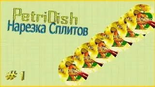 PetriDish нарезка сплитов|#1