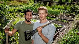 Från gräsmatta till köksträdgård på 1 år. ENORM utveckling!