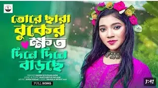 তোরে ছারা বুকের ক্ষত দিনে দিনে বাড়ছে। Tore Chara Buker Khoto Brshe | Sultana Mim | Bangla Song 2023