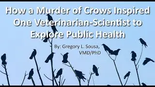MDH Speaks: “How a Murder of Crows Inspired Me to Explore Public Health” by Greg Sousa