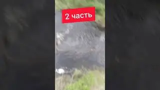 2 часть рыбалка в мордушки на лесном ручье .