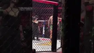 Pereira Falls Asleep During Anthony Smith Fight