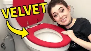 We made an awful velvet toilet seat