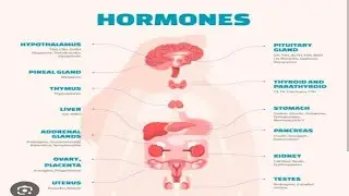 Hormone System| Neet| 1st Grade| Csir Net| Assistant Professor| UPPSC| MPPSC| HPSC| RPSC| All Exams