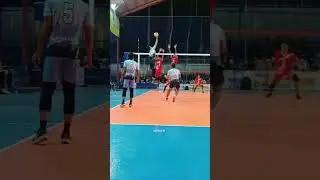#bolavoli #volitarkam #volleyball #olahraga #volleyballplayer