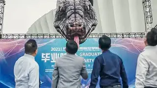巨蛇闯入女校，校长被巨蛇一口吞掉！【巨蛇闯女校Rising Boas in a Girl's School】|驚悚 災難 |【電影派對】