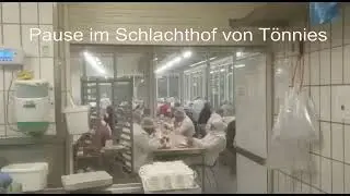 Tönnies-Kantine Rheda März 2020 | Pandemie, 1. Welle: hunderte Arbeiter ohne Schutz