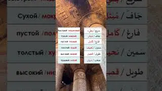 АРАБСКИЙ ЯЗЫК - ПРИЛАГАТЕЛЬНЫЕ