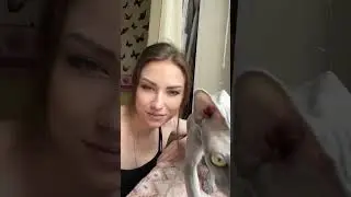 Love is never wrong! Have a nice day❤️#sphynx #cat #shortsvideo #сфинкс #beauty #hairlesscat  #cute