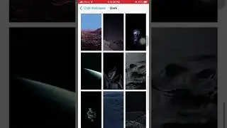 Change WhatsApp wallpaper in iPhone