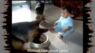 Смешные Дети Лучшие приколы с детьми