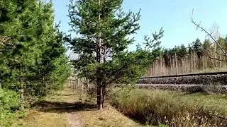 Путешествие к озеру Глухое.