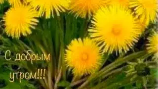 Славянск.27.04.23. Ночь продержались.‼️Варим гороховый суп с копчёностями