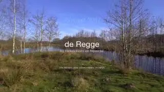 Fragmenten van de Regge