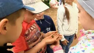 2017-05-31 выпускной в садике
