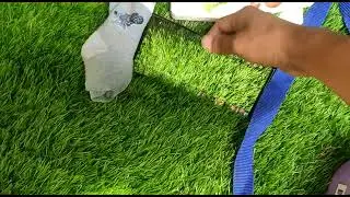Samsung galaxy s22 Ultra display test. QHD dynamic super AMOLED display #samsunggalaxys22ultra