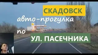 ул. Пасечника Скадовск 2021. Авто прогулка