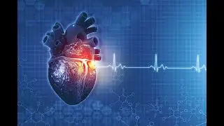 What's my Resting Heart Rate? Ways to Lower Heart Rates for Longer Lifespan.