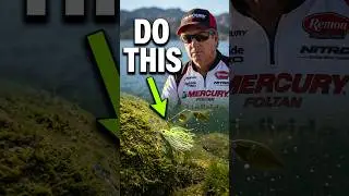 Deep Spinner Bait Fishing #bassfishing #fishingshowschannel #spinnerbait #shorts