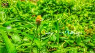 Manusu maree ||WhatsApp status|| v movie               #aditya_music #Rk_creations