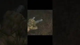 Wrong neighborhood | STALKER 