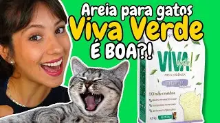Areia Viva Verde é BOA? Vale a pena? PRÓS E CONTRAS DA AREIA HIGIÊNICA PARA GATOS VIVA VERDE!