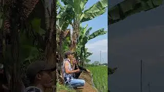 Kalah mang ridwan 🤣‼️ #layangan #giblur #layanganputus #kitefighting #layang