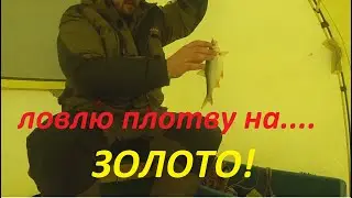 ЛОВЛЮ ПЛОТВУ НА ..... ЗОЛОТО + поймал трофей