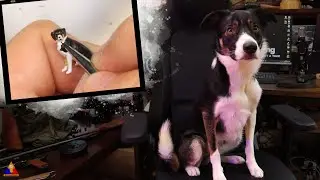 Let's Paint Roger! | 1/35 Dog Painting Tutorial | Scale Model Border Collie