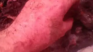Слоёный, долгоиграющий пирог для Чёрной Принцессы