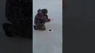 Щука на жерлицу,первый лёд