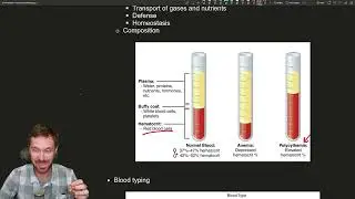 The Lifeline Within: Exploring the Vital Components of Blood