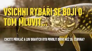 Všichni rybáři se bojí o tom mluvit ...
