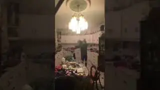 Bat trapped in Irish familys Kitchen FUNNY!!!!