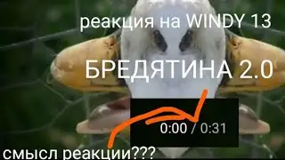 БРЕДЯТИНА 2.0 реакция на WINDY 13