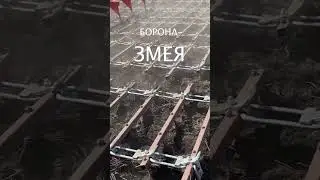 БОРОНА-ЗМЕЯ 