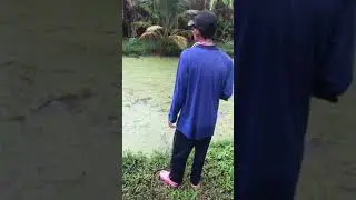 Вот это монстр
