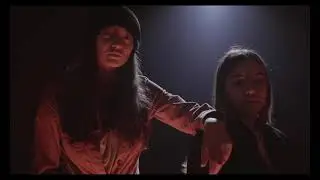 Avide-2L
