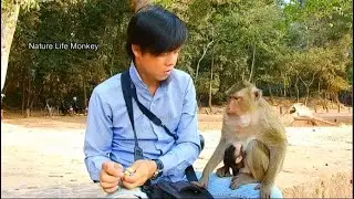 Poor Belley carry baby Betty climb on PaPa Song asking some food, Cute baby Betty sleep with milk