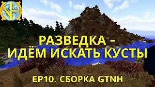 Ep10. Прохождение GTNH: разведка - идём искать подходящие кусты.