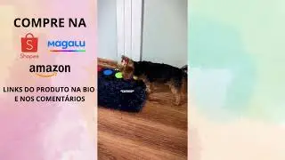 Botões de cachorro para comunicação graváveis de voz treinamento fala