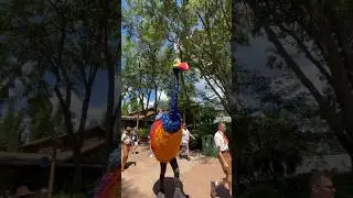 Worlds Largest Bird Kevin from Up