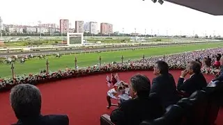 Cumhurbaşkanı Gül, 88. Gazi Koşusu'nu İzledi-29.06.2014