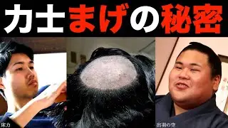 おすもうさんの「まげ」の秘密　SUMO