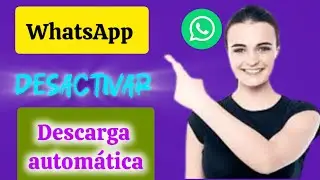 Cómo detener la descarga automática de fotos de WhatsApp|Desactivar la descarga automática de